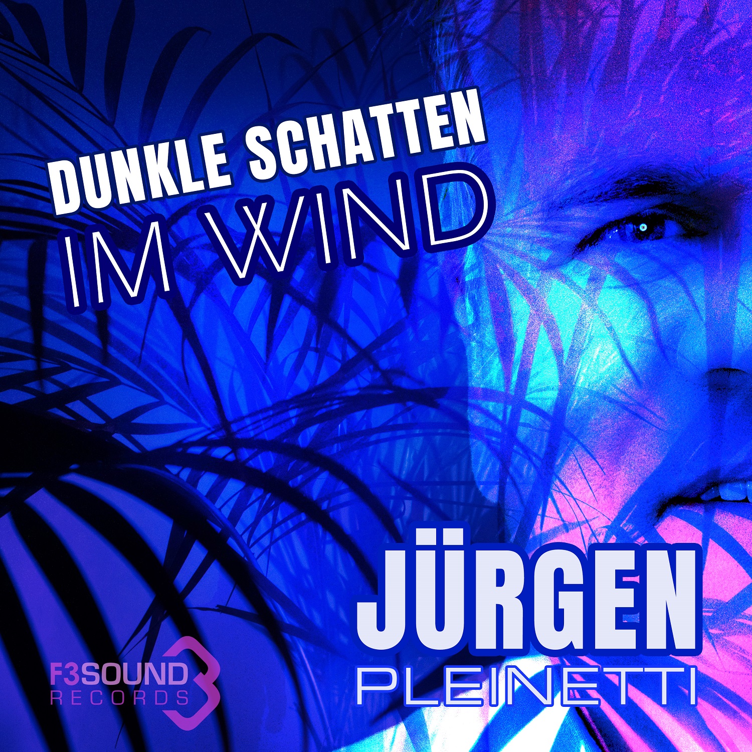 Jrgen Pleinetti - Dunkle Schatten im Wind - cover 3000pxl.jpg